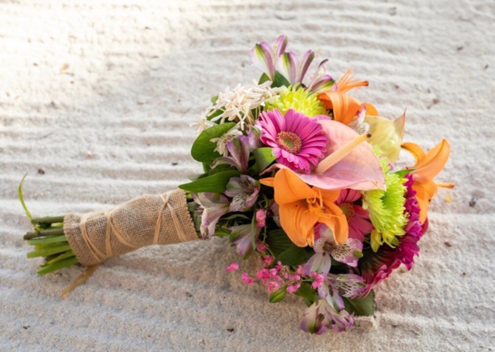 Hand Painted & Crafted Butterfly Earrings - "The Isla Mujeres"