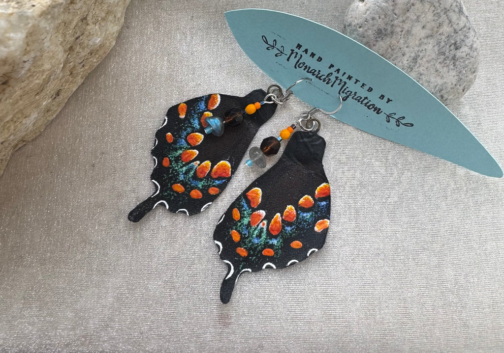 Spicebush Swallowtail